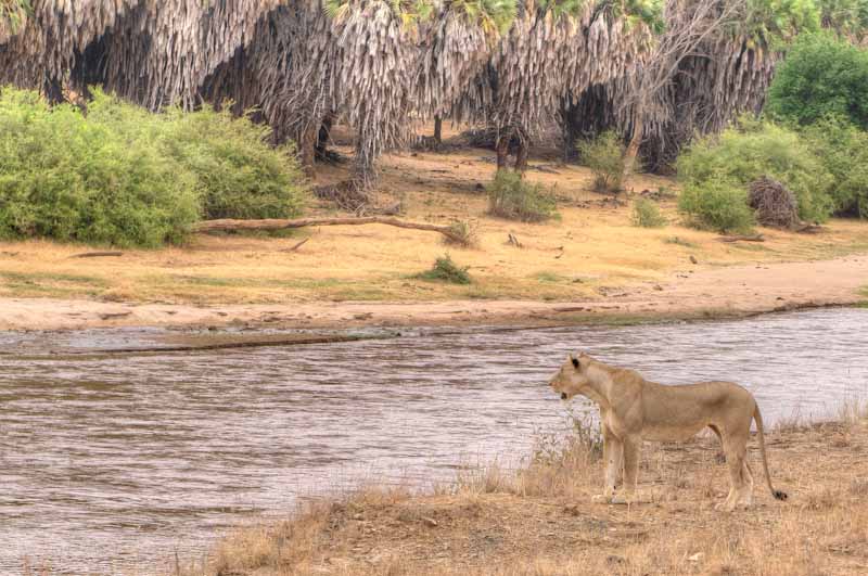 kenya_2012_KEN_1757_hdr